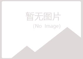 西夏区山柏体育有限公司